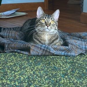 Meet your Posher, Aleta